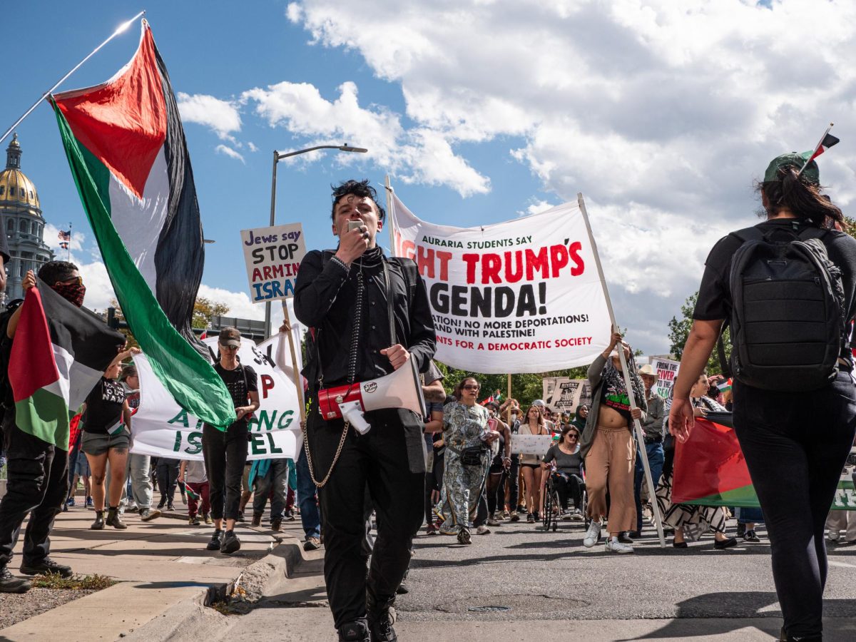 Protestors at state capitol with Palestine flags