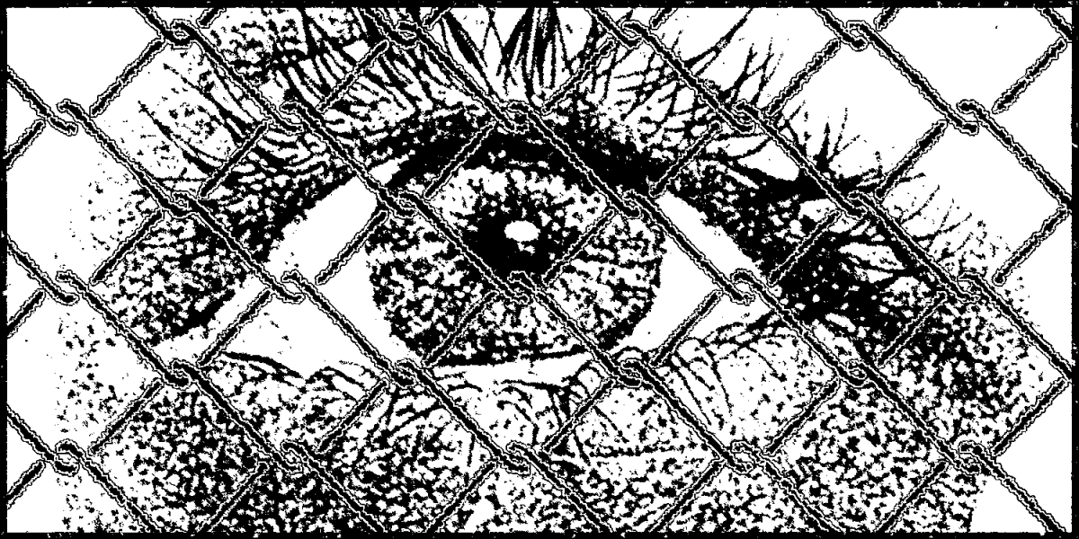 [Photo] Eye behind a chain link fence.